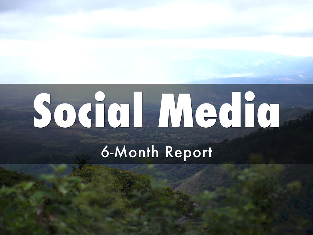 6-Month Social Media Report