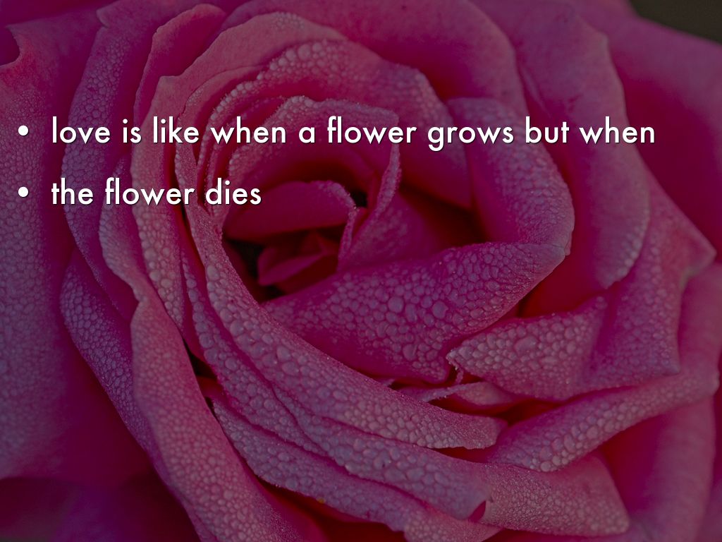 love by alejandracute291