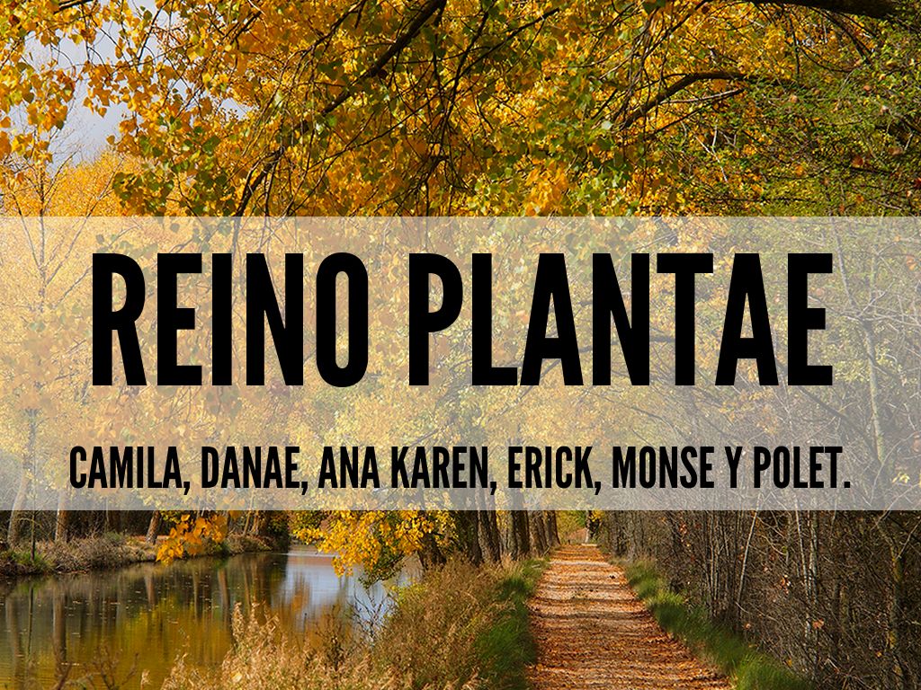 Copia de Customer Quotes & Testimonial Examples