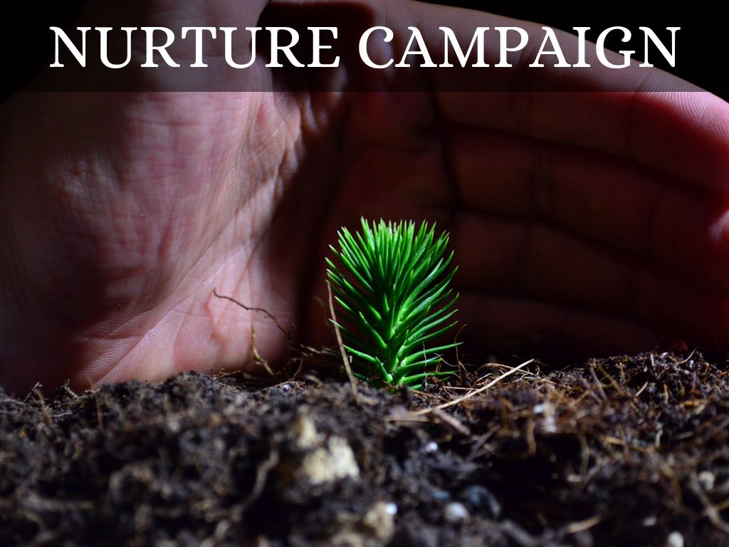 Nurture Campaign