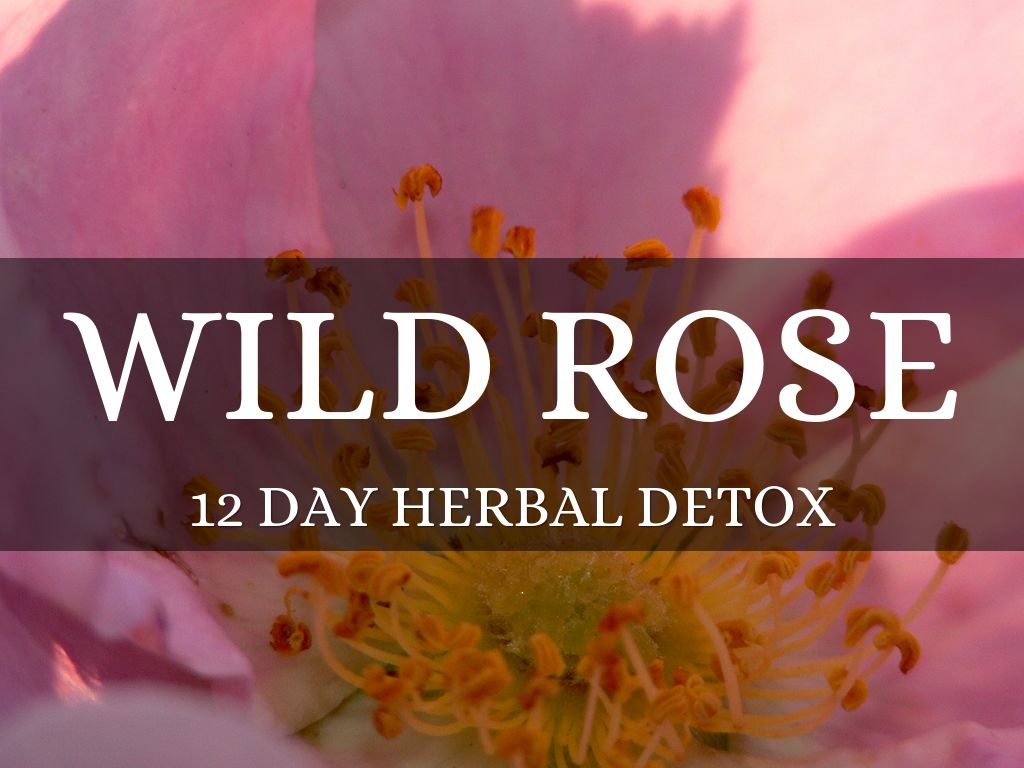 wild rose detox