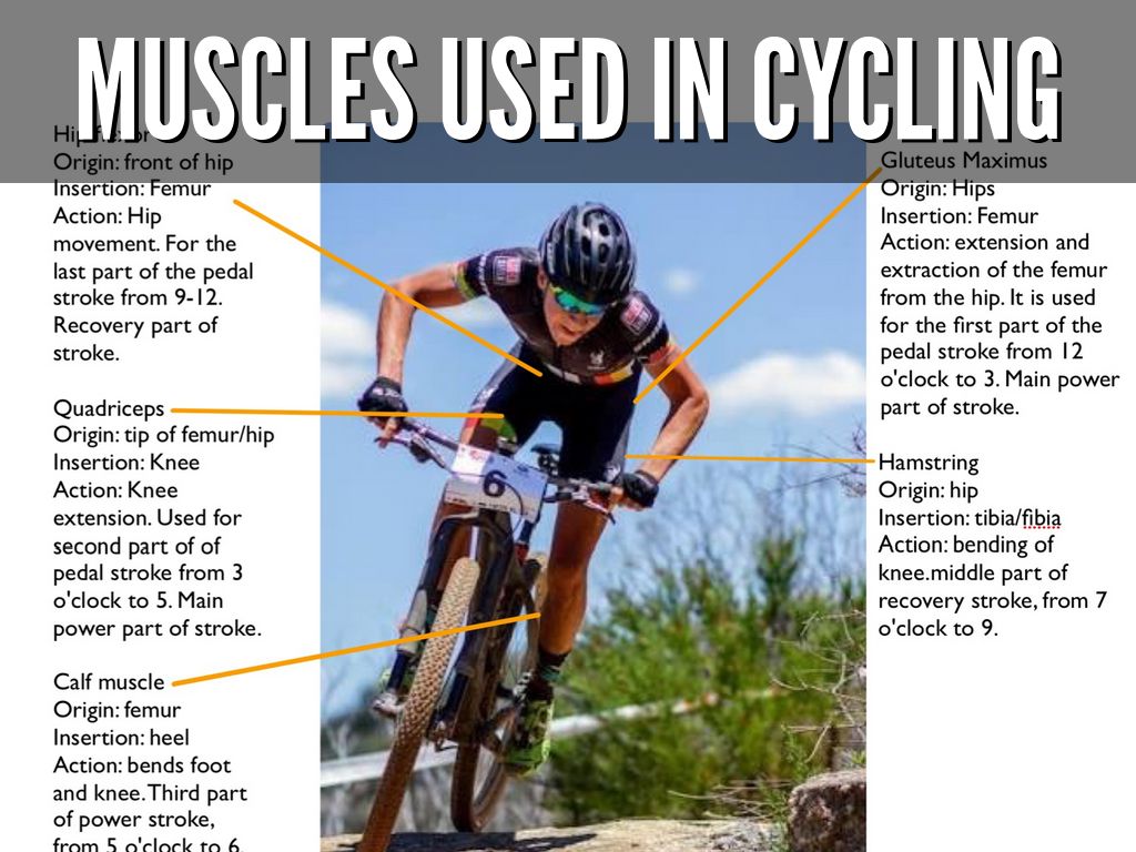 Copy of Olympic Portfolio by Tom Cheesman