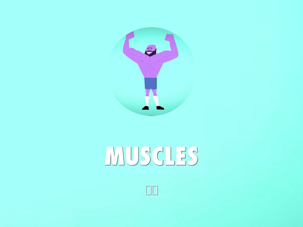 Muscles