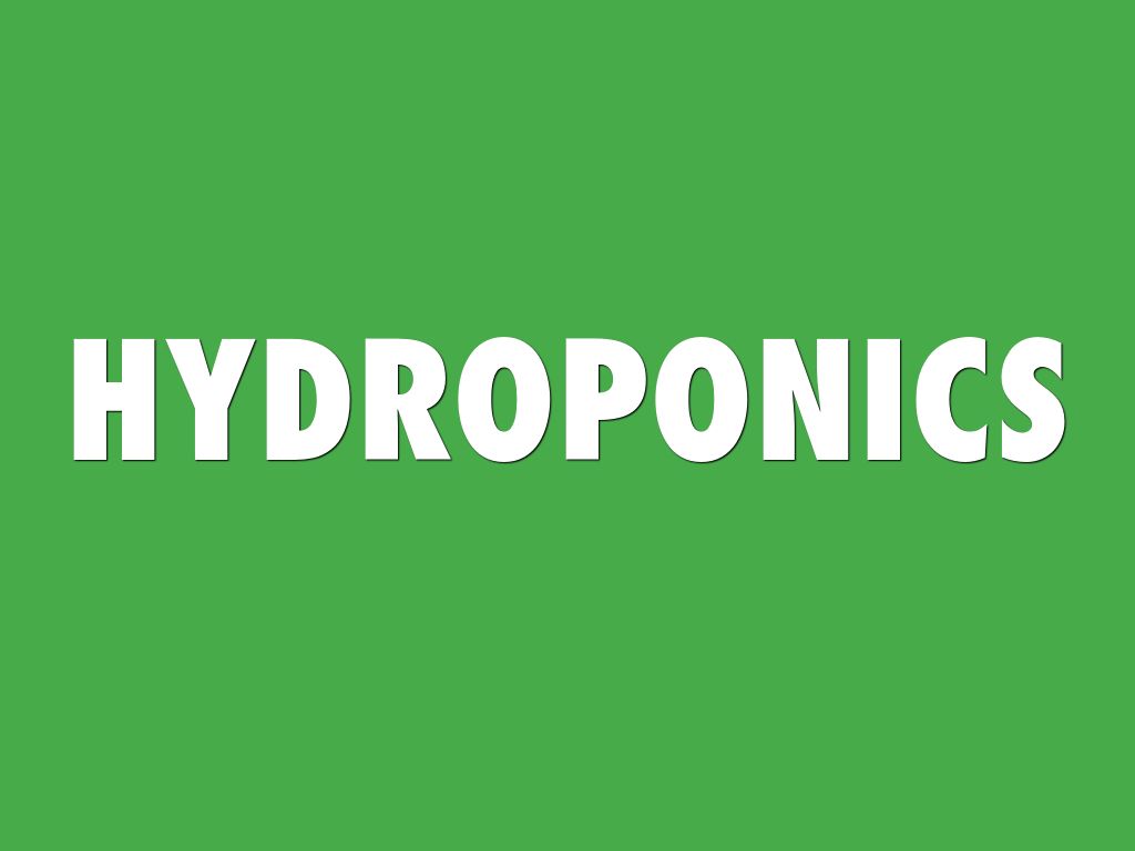 Hydroponics 