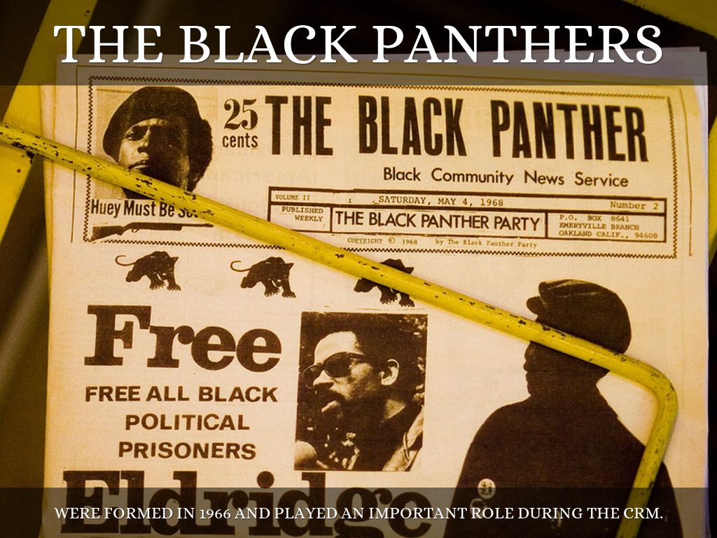 Black Panthers For Kids.