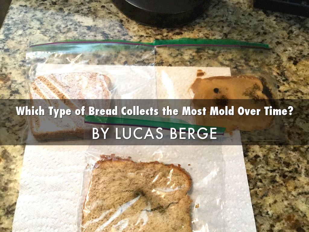 Bread Mold by Luke Berge