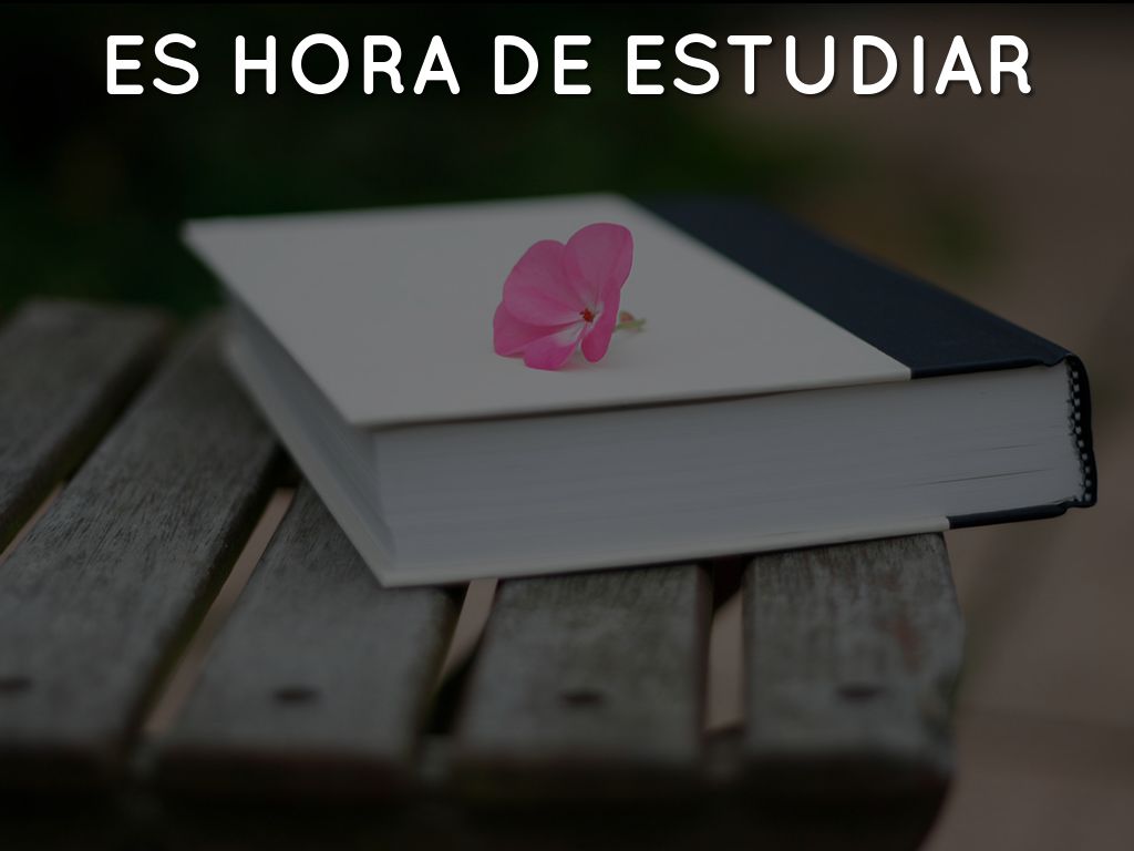 Haiku Deck en acción