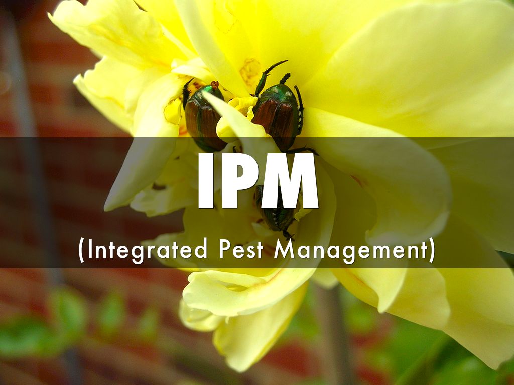 IPM