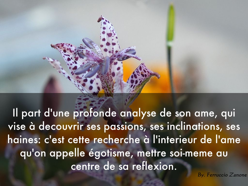 Le Realisme By Giuseppina Martoriello