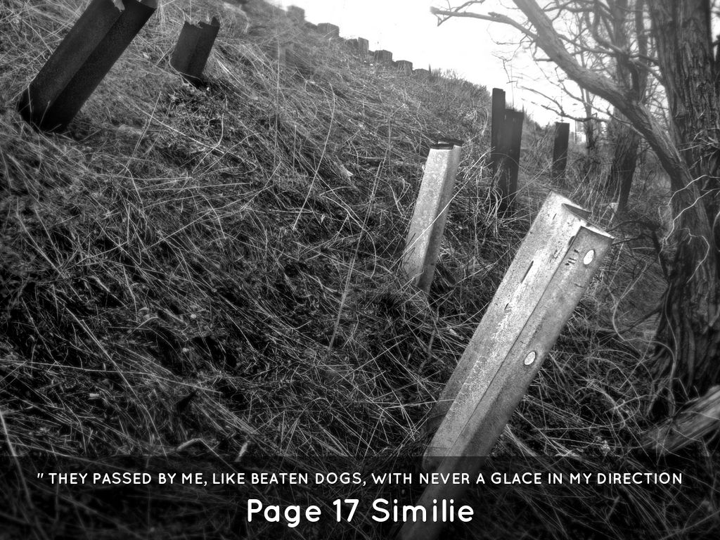 " They passed by me, like beaten dogs, with never a glace in my direction
