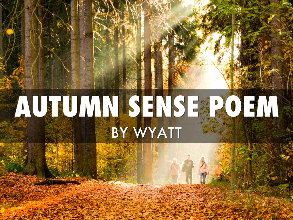 Sense Poem by W Bailey