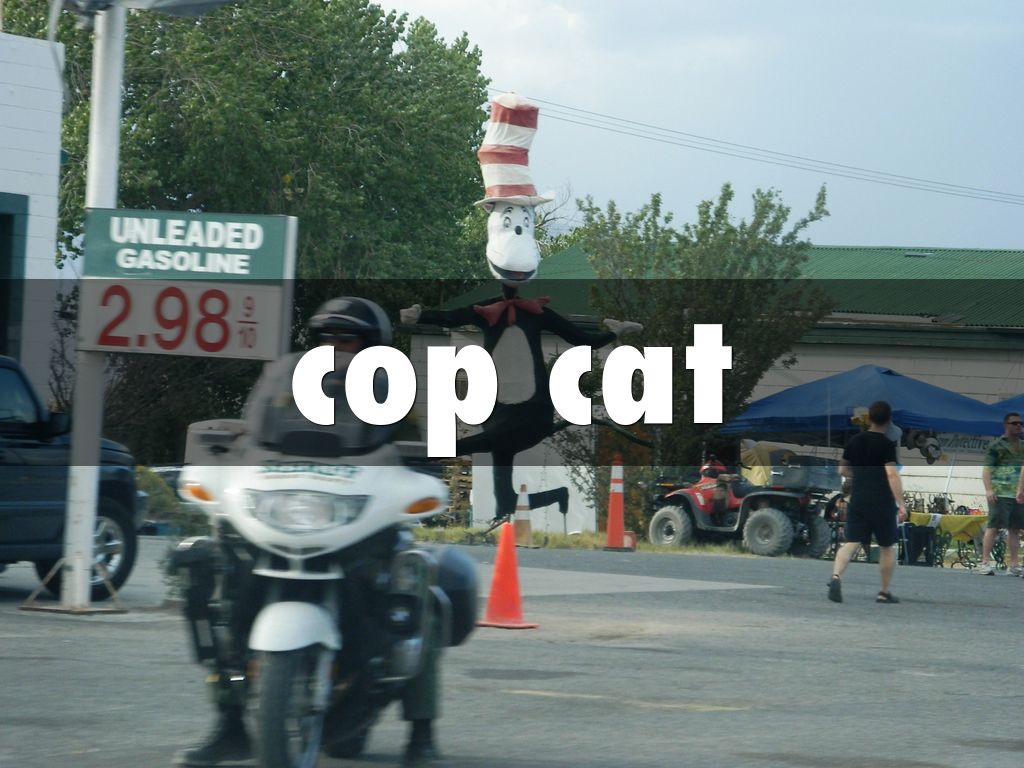 cop cat