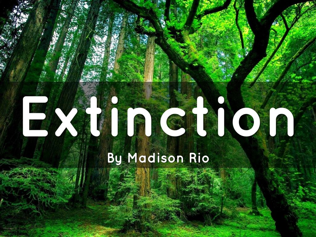 Extinction