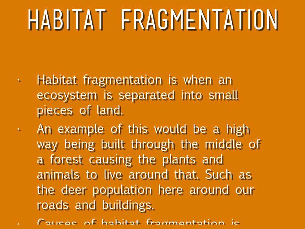 Human Impact Research by Abigail Gross