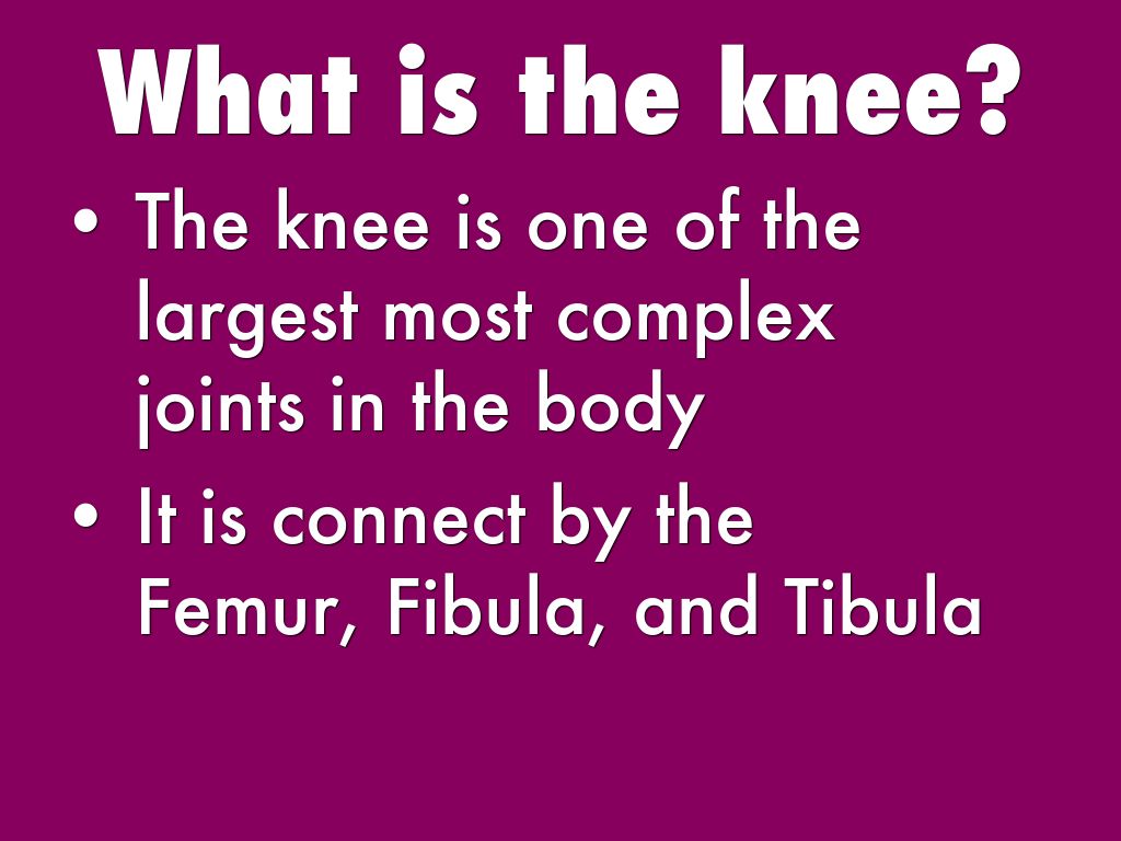 The Knee by 99665708