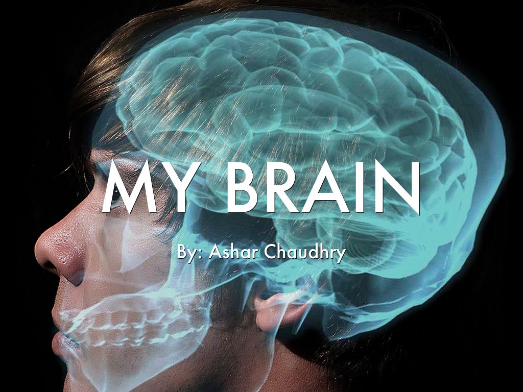 My Brain : Ashar 
