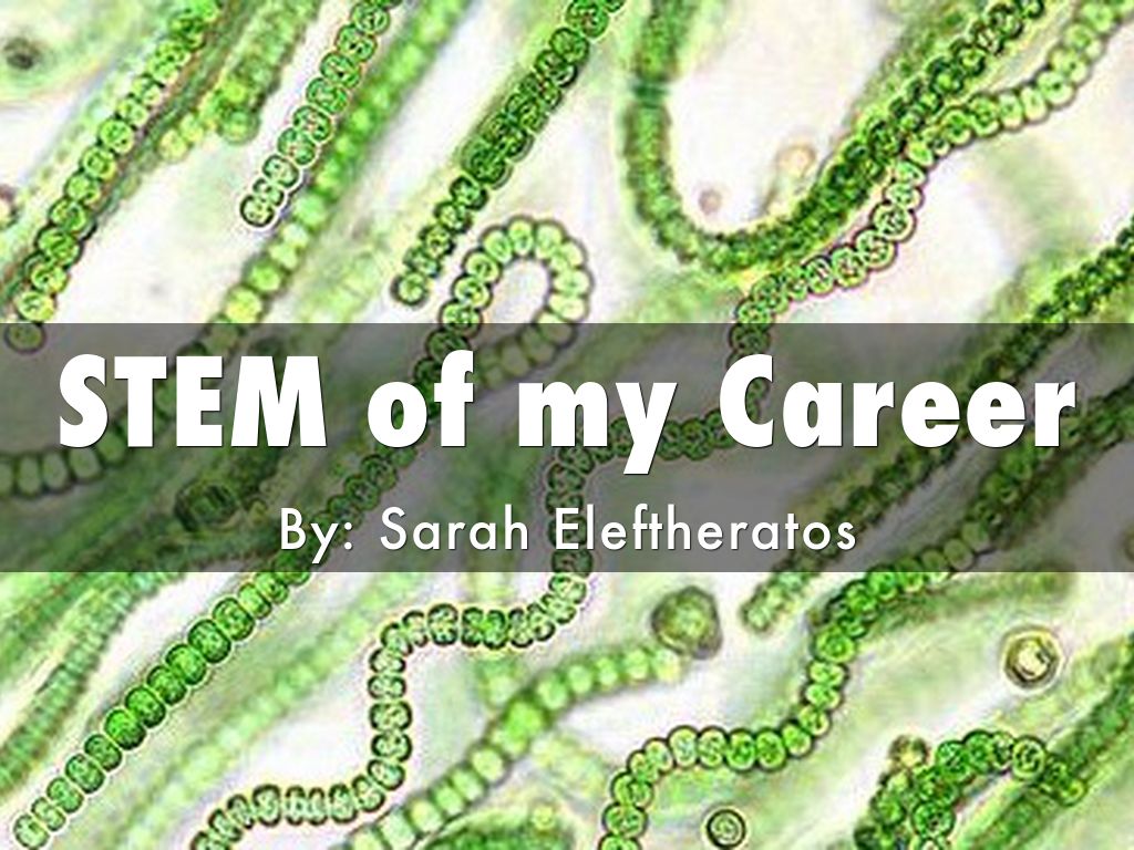 STEM of my Career
