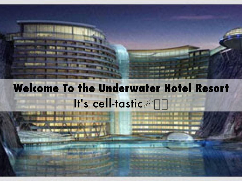 Cell Project~ Underwater Resort🐳☄🏊🏽🏄🏾