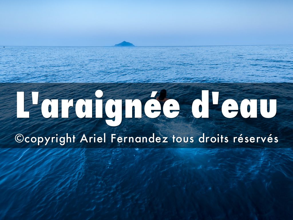 La araignée d'eau 