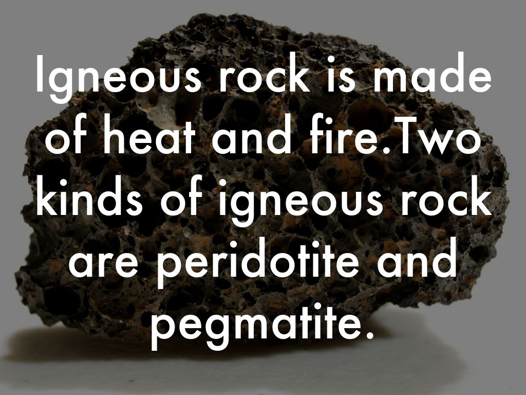 Rocks and Fossils by Makena Harry