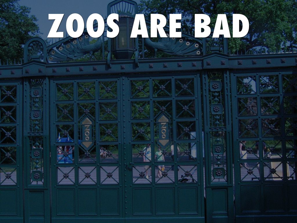 Zoos Are Bad