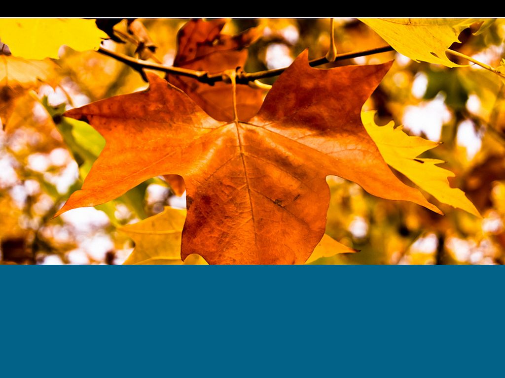 Proyecto Educativo Institucional