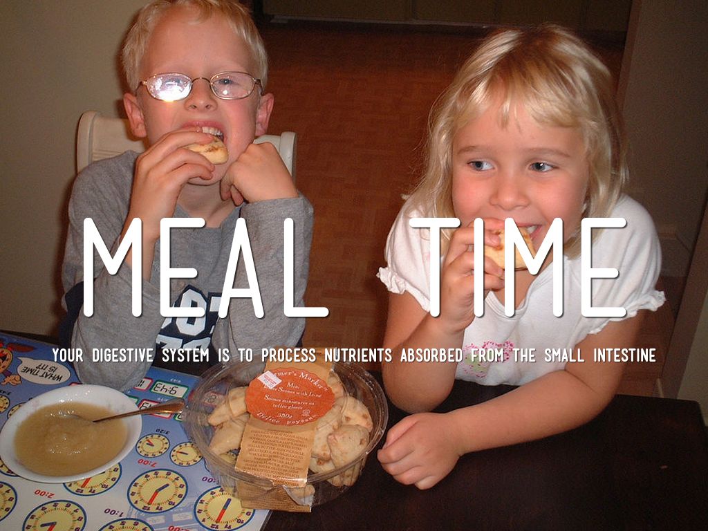 Meal Time