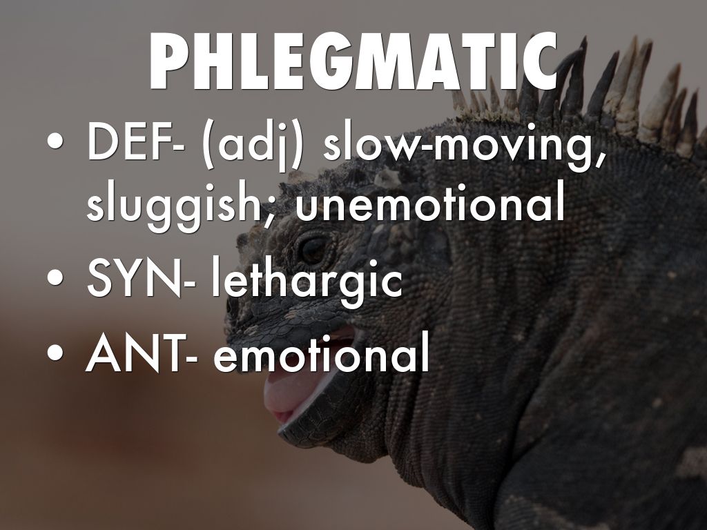 Vocab Unit 14 by Brandon Cregg