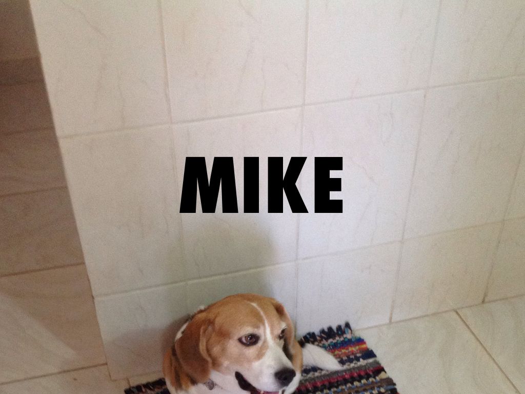 Mike