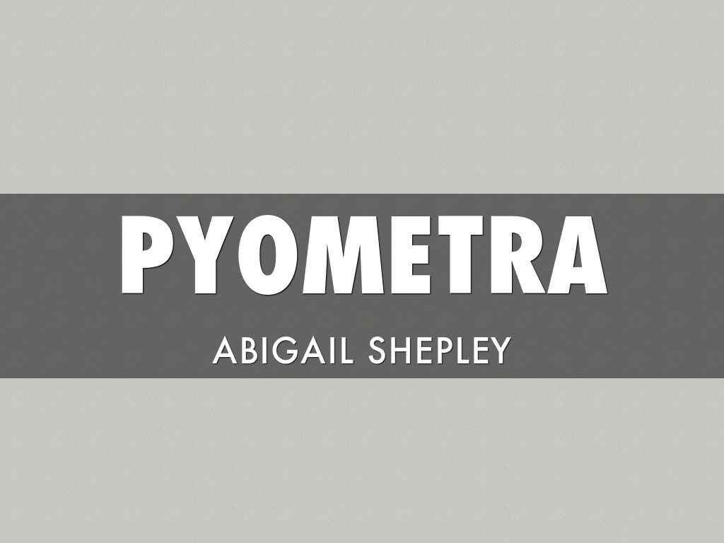 Pyometra 