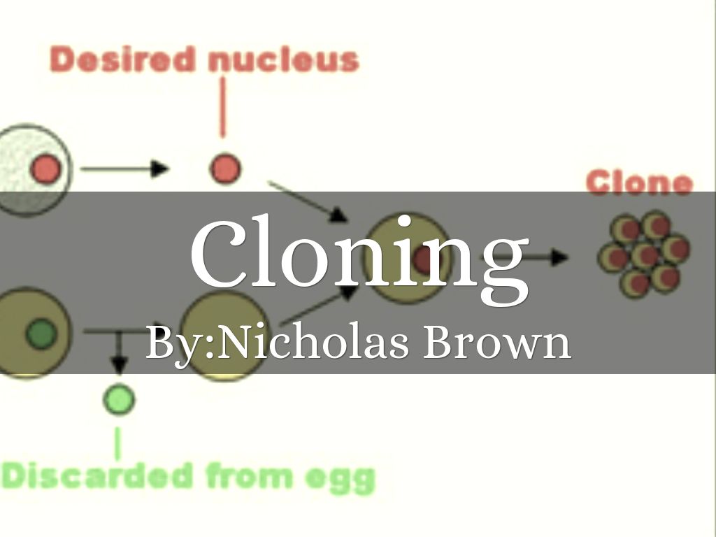 Research paper on cloning image