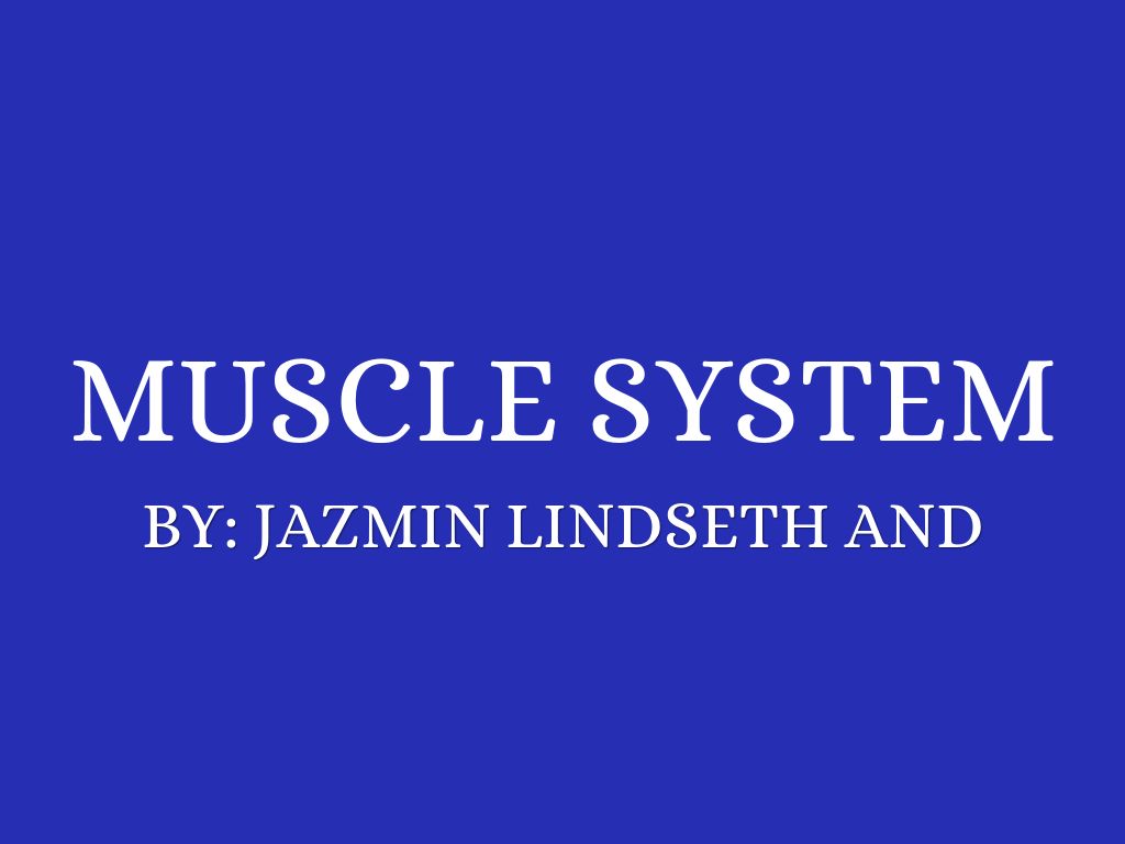 Muscle System 
