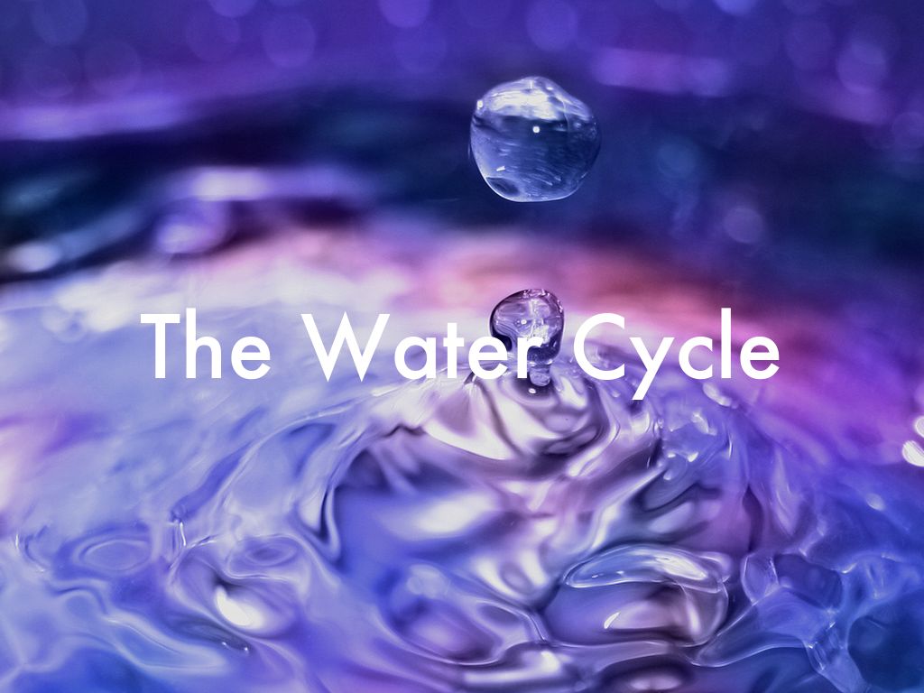 The Water Cycle