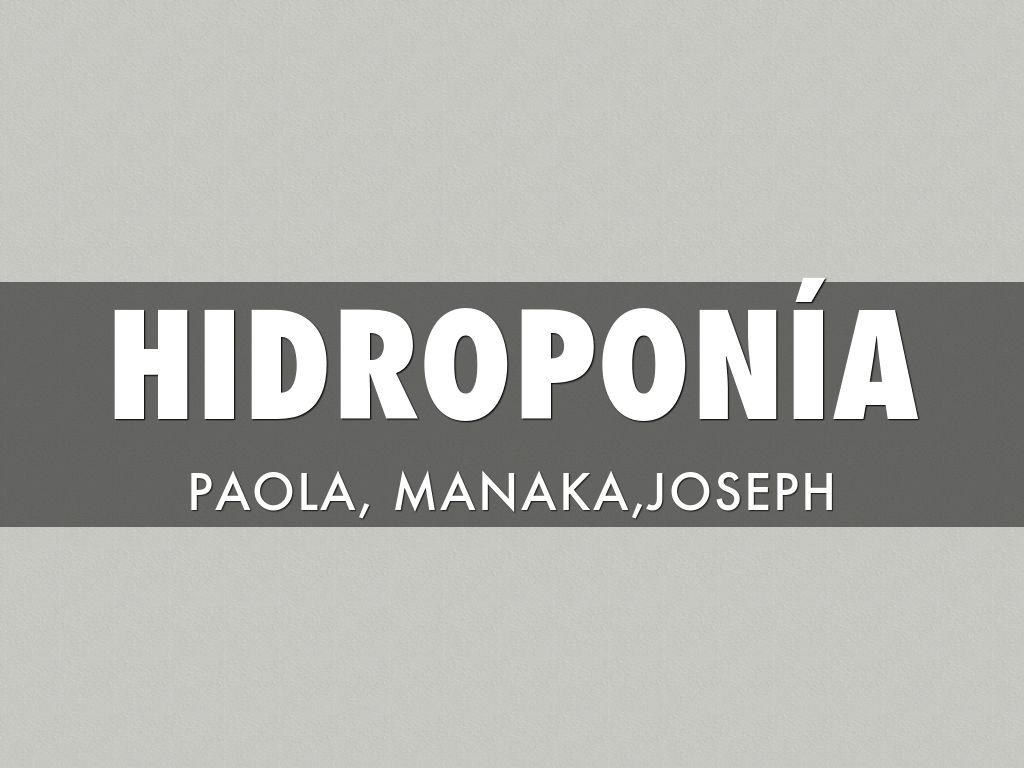 hidroponia 