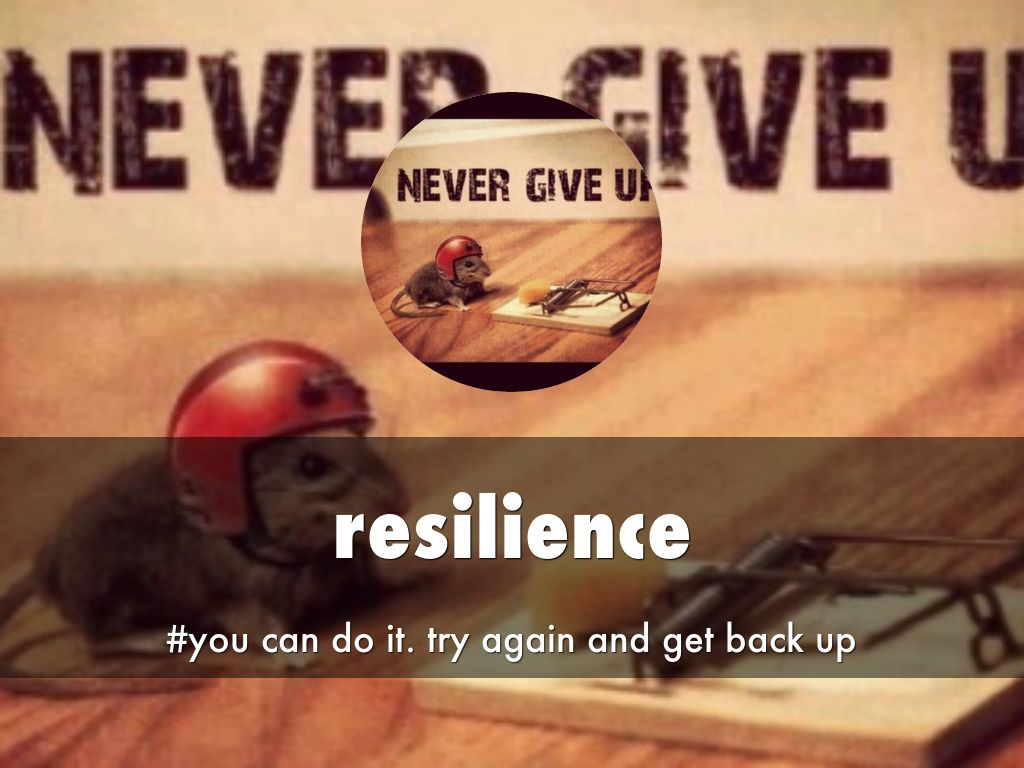 resilience