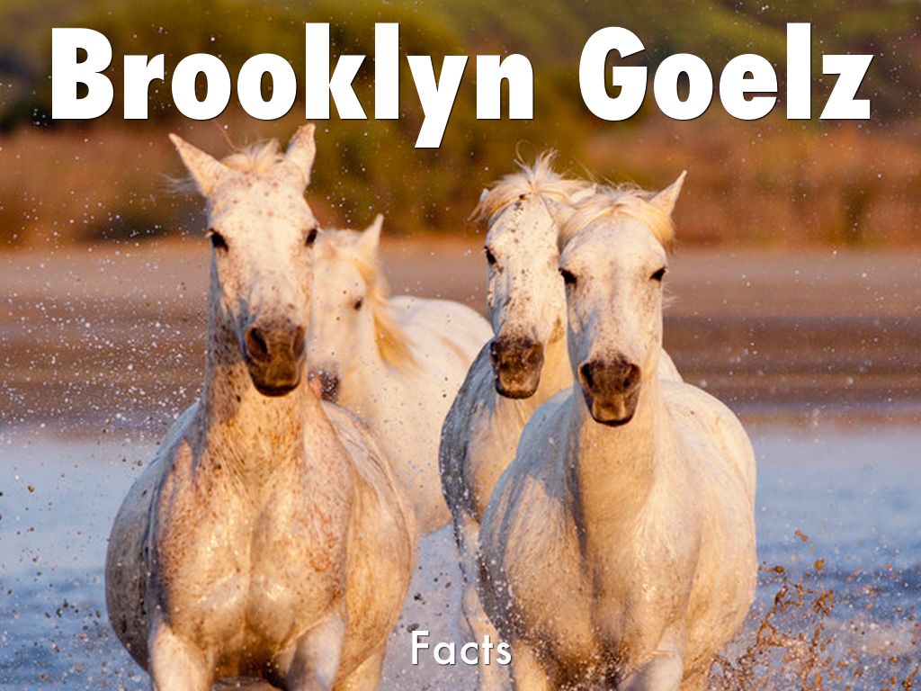Brooklyn Goelz