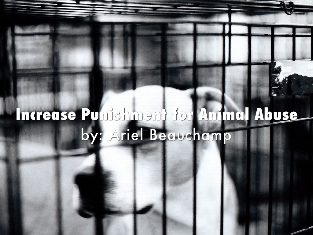 Increase Punishment for Animal Abuse