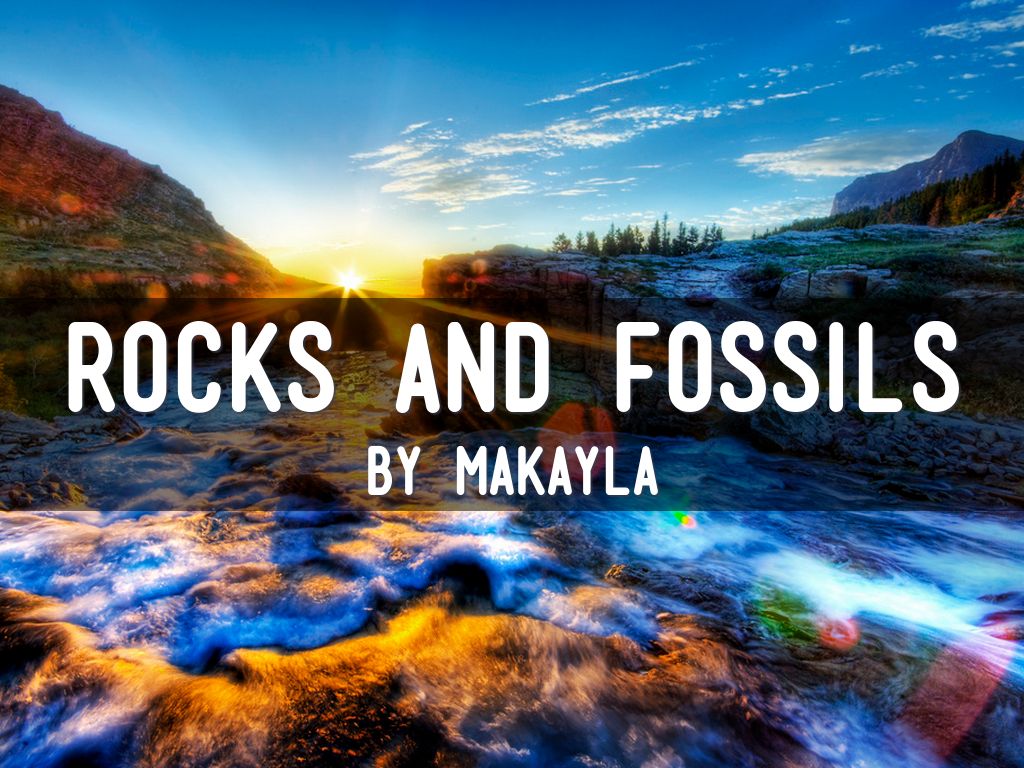 Rocks And Fossils