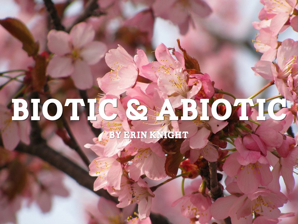 Abiotic & Biotic