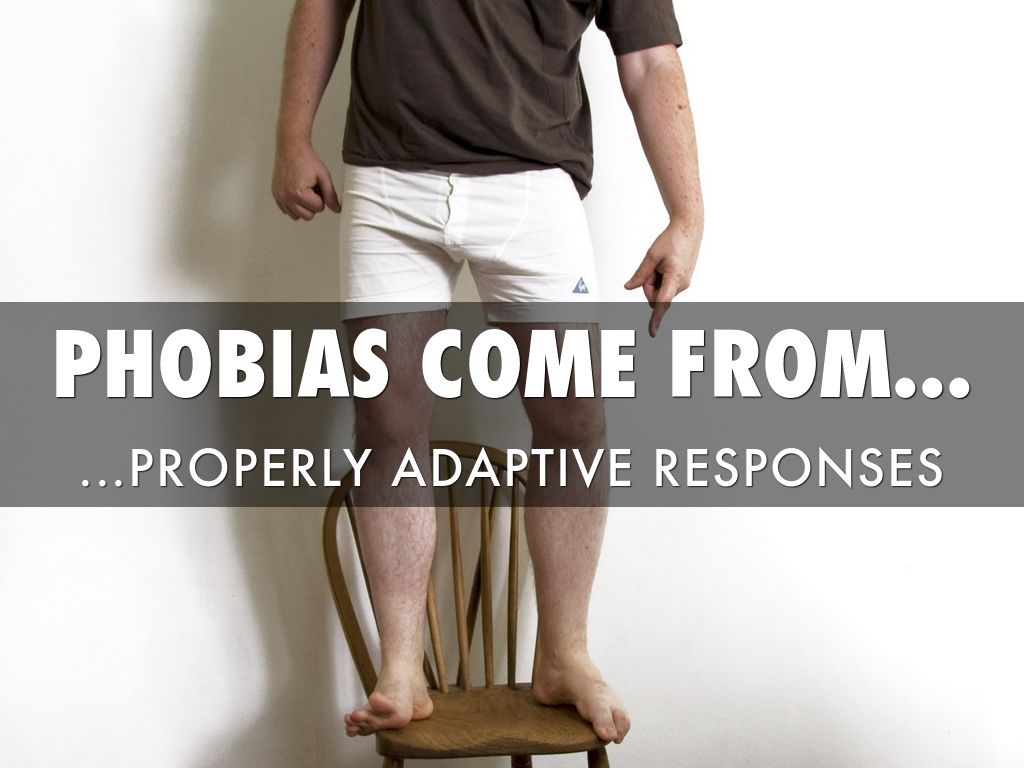 Phobias are Rooted in Adaptive Responses