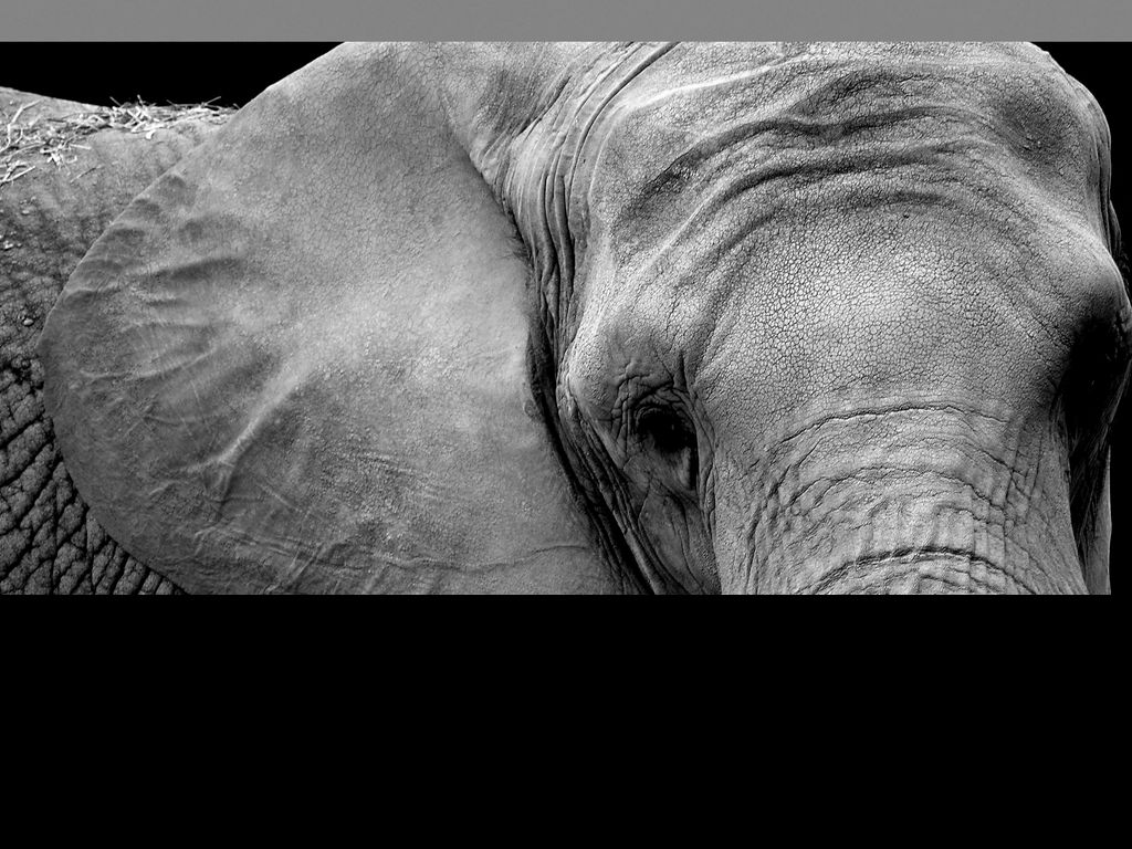 Presentations and Templates by Michel Abitbol