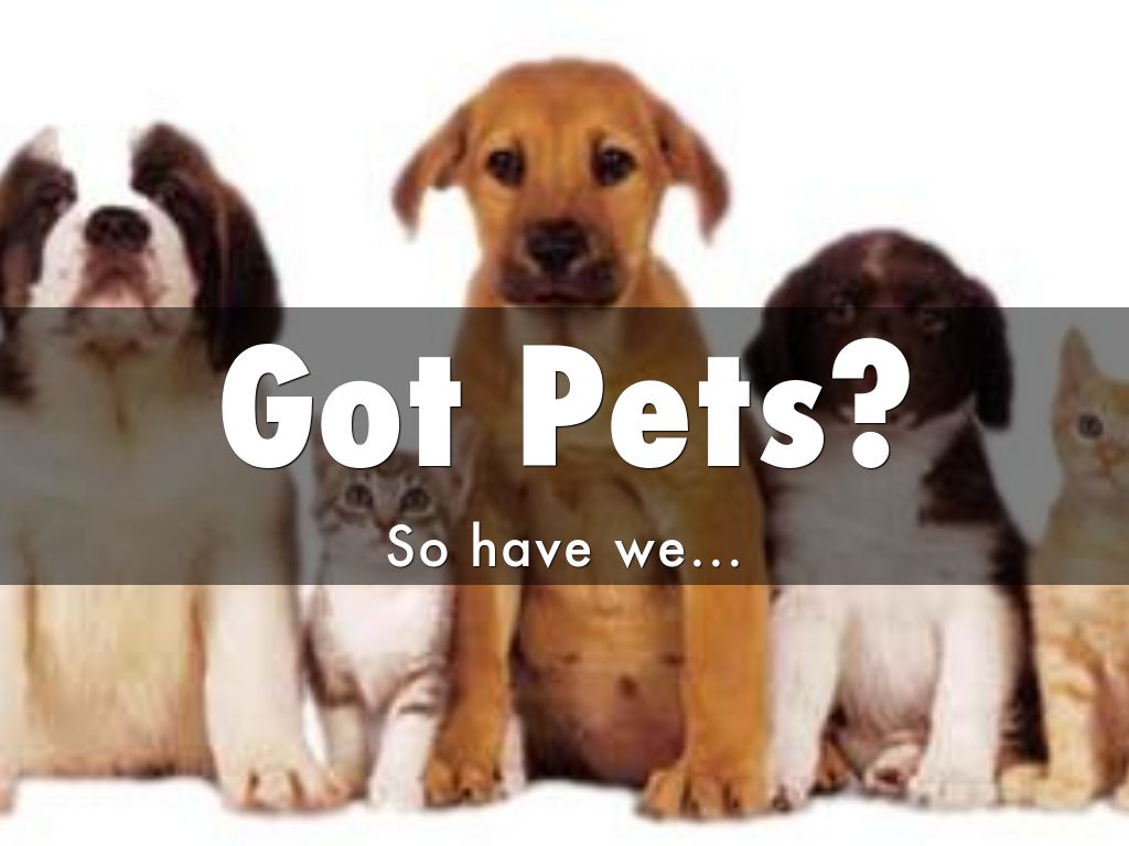 Got Pets?