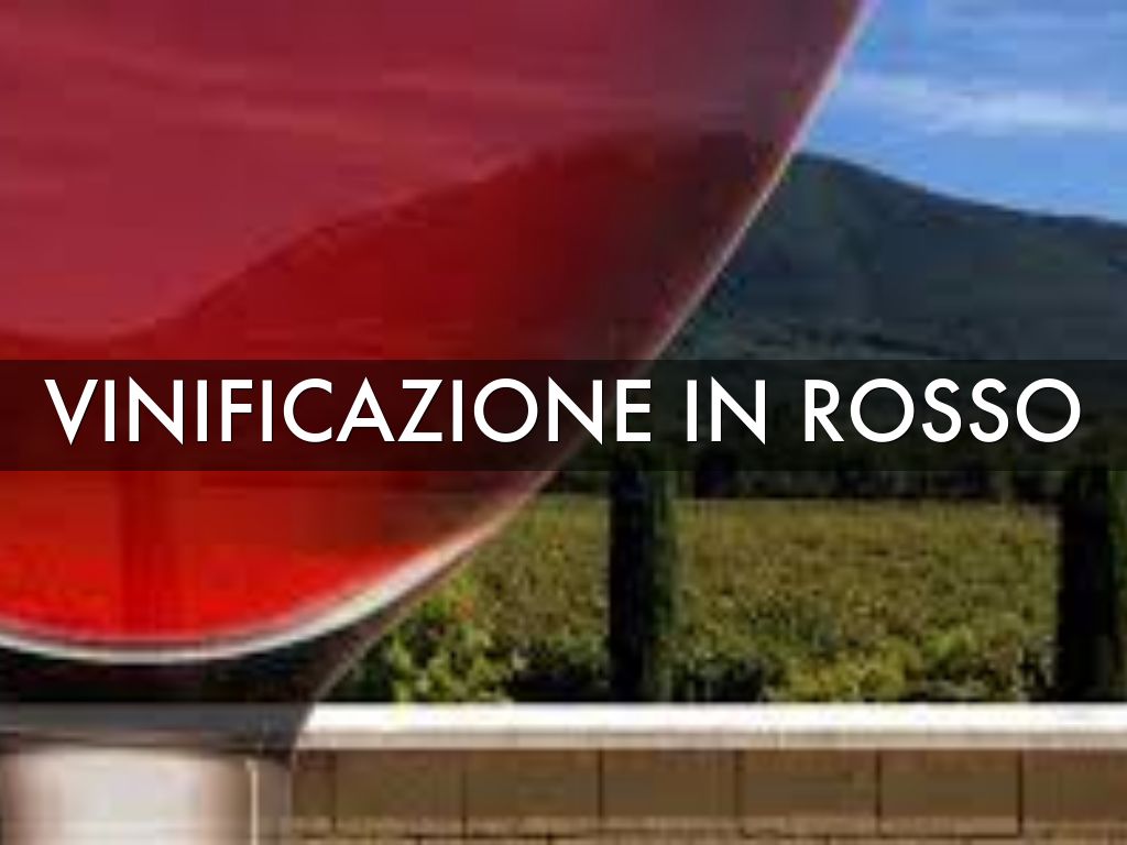 Copy of VINIFICAZIONE IN ROSSO