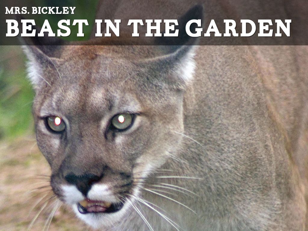 Beast In The Garden Vocab