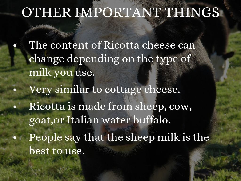 Ricotta Cheese by Adelynn Link