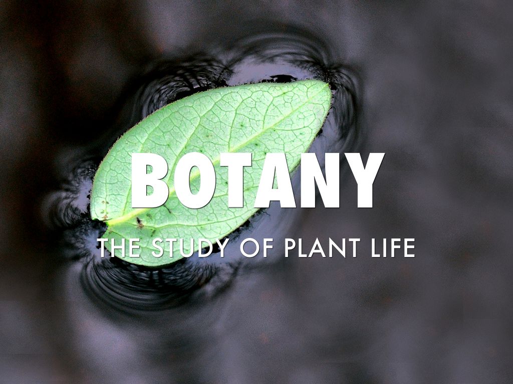 Botany