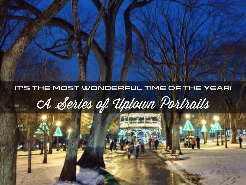 The Most Wonderful Time of the Year