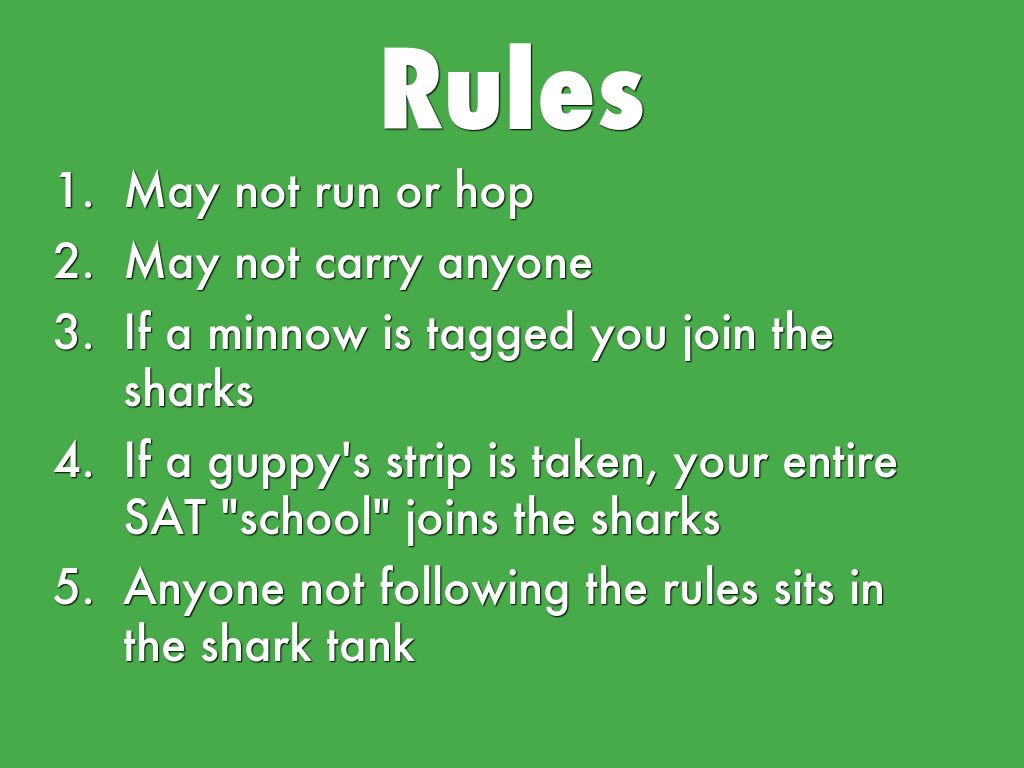 Sharks Minnows and Guppies by Elmo Chois