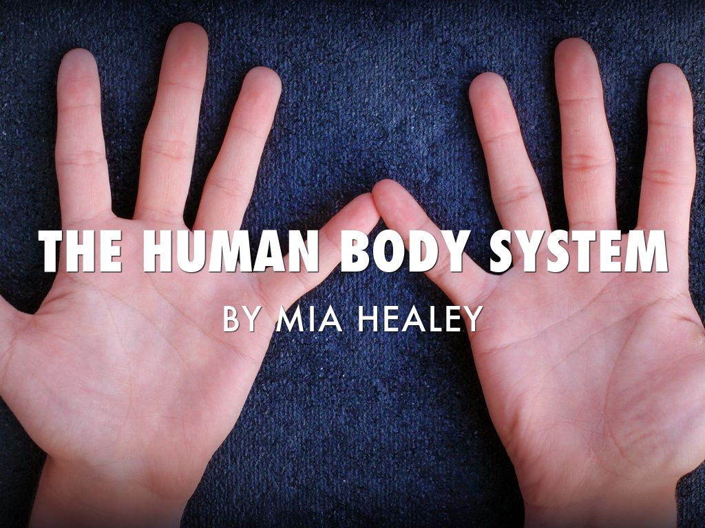 Human Body System 