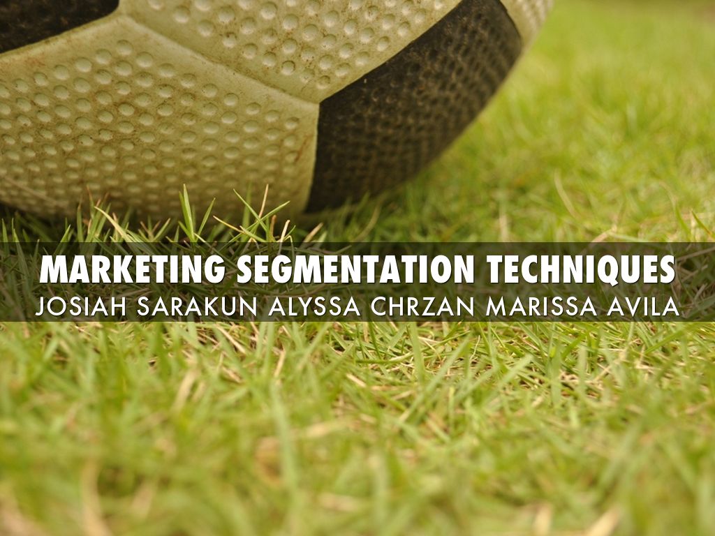 Marketing Segmentation Techniques